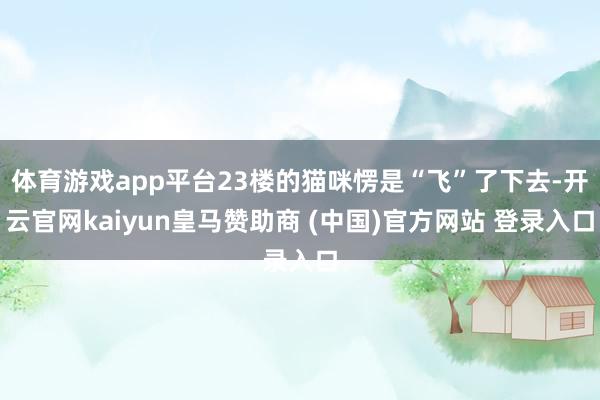 体育游戏app平台23楼的猫咪愣是“飞”了下去-开云官网kaiyun皇马赞助商 (中国)官方网站 登录入口