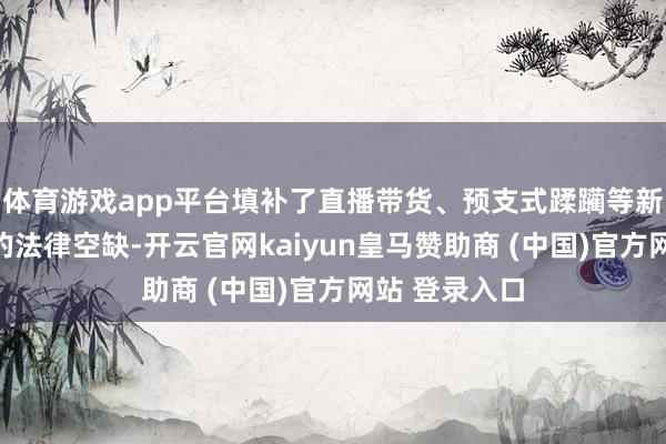体育游戏app平台填补了直播带货、预支式蹂躏等新兴蹂躏样式的法律空缺-开云官网kaiyun皇马赞助商 (中国)官方网站 登录入口