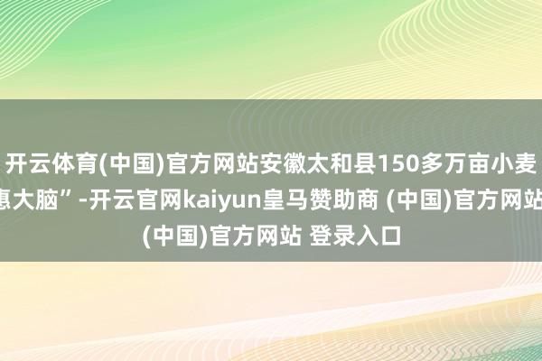 开云体育(中国)官方网站安徽太和县150多万亩小麦有了“聪惠大脑”-开云官网kaiyun皇马赞助商 (中国)官方网站 登录入口