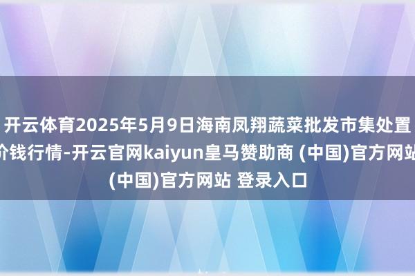 开云体育2025年5月9日海南凤翔蔬菜批发市集处置有限公司价钱行情-开云官网kaiyun皇马赞助商 (中国)官方网站 登录入口